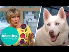 Should Your Dog Become a Vegetarian? | This Morning