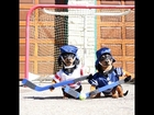 Crusoe & Oakley Dachshund Play Ball Hockey