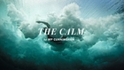 The Calm - Brian Bielmann