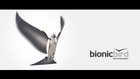 Bionic Bird: Furtive Drone