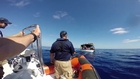 Saving Lives at Sea | MOAS (Migrant Offshore Aid Station)