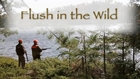 Flush In The Wild