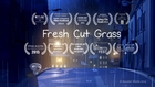 Fresh Cut Grass