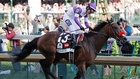 Nyquist's trainer: He's a super horse
