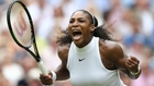 Serena wins Wimbledon, ties Open era record with 22nd major title