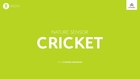 Citroën - Radio Spot / Cricket