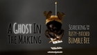TRAILER - A Ghost In The Making: Searching for the Rusty-patched Bumble Bee