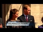 Kate Middleton Pregnant: Prince William, Duchess of Cambridge Announce Pregnancy in Royal Statem