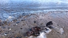 Today at Great Yarmouth we found what looks like a dead Mermaid washed up on the beach