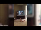 Baby Balboa' imitates 'Rocky II' training montage