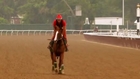 Racing industry hopes California Chrome can boost its fortunes