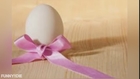 Egg Donation South Africa