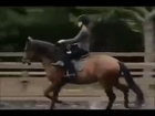 Angelina Jolie awesome tricks on the horse