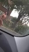 Naked Guy Runs Into Street And Stares Down Driver