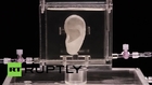 USA: Van Gogh's severed ear cloned and displayed as art piece in New York