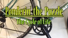Ponderin' the Puzzle - The Cycle of Life