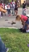 Chicago's Humboldt Park: Vicious female street brawl