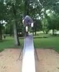 Teen Tries to Slide Standing Up