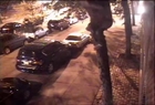 NYPD nabs tree-climber who tried to rape woman