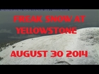 8/30/2014 -- Freak Late Summer SNOW STORM at Yellowstone National Park