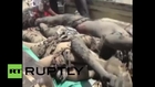 Yemen: Saudi-led airstrikes kill 30+ civilians in market attack *VERY GRAPHIC*