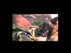 Military Dog video by George Dare