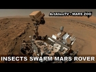 MARS INSECTS SWARM CURIOSITY ROVER SELFIE: UFO's, Birds or Flies? ArtAlienTV 1080p