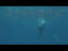 Sharkbanz: Watch Sharks Flee Our Proven Shark Deterrent Technology
