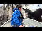 Donkey is Rescued From Flood with Lifebelt