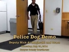 Sawyer County Deputy and Police Dog Demo