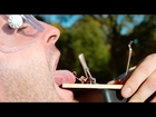 Tongue in a Mouse Trap - The Slow Mo Guys