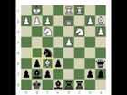 greatest-chess-minds-wilhelm-steinitz---part-5.3gp