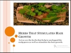 Herbs That Stimulates Hair Growth