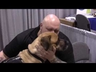 Amazing Dogs Changing Lives of Soldiers : K9s for Warriors: