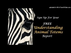 Free Animal Totem Report!