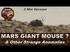 MARS GIGANTIC MOUSE ? & Other Strange Anomalies. ArtAlienTV - 720p60