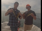 Lake St.Clair Perch Fishing