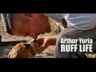 RUFF LIFE By Arthur Yoria  - A Homeless Puppy Rescue Giving Hope For Paws