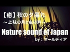 Nature sound【秋の夕暮れ】~上弦の月と虫の合唱~ by：marldear