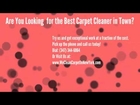 Looking for Rego Park, NY Local Carpet Cleaning Services?