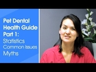 Pet Dental Health Tips part 1: Dental statistics, common problems, and myths