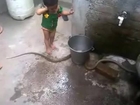 Baby Versus A Snake