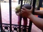 Funny Hyderabadi kid head stuck in gate