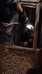 Firefighters rescue pup from sewer drainage