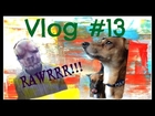 Vlog #13 Scaring Dogs//Wal-Mart//Cross Dressing