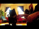 Cat Diaries: The First Ever Movie Filmed by Cats!