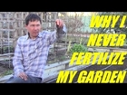 Why I Never Fertilize My Vegetable Garden and Get Better Results without it