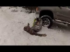 Crash into Car Sledding Accident