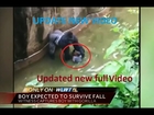 [NEW FOOTAGE]Gorilla killed after 4 year old falls into zoo enclosure.