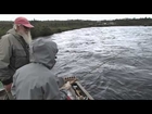 Alaskan King Salmon with Hurley's Fly Fishing Adventures